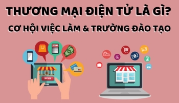 CƠ HỘI VIỆC LÀM NGÀNH THƯƠNG MẠI ĐIỆN TỬ: LÝ DO NGÀY CÀNG NHIỀU BẠN CHỌN HỌC NGÀNH TMĐT